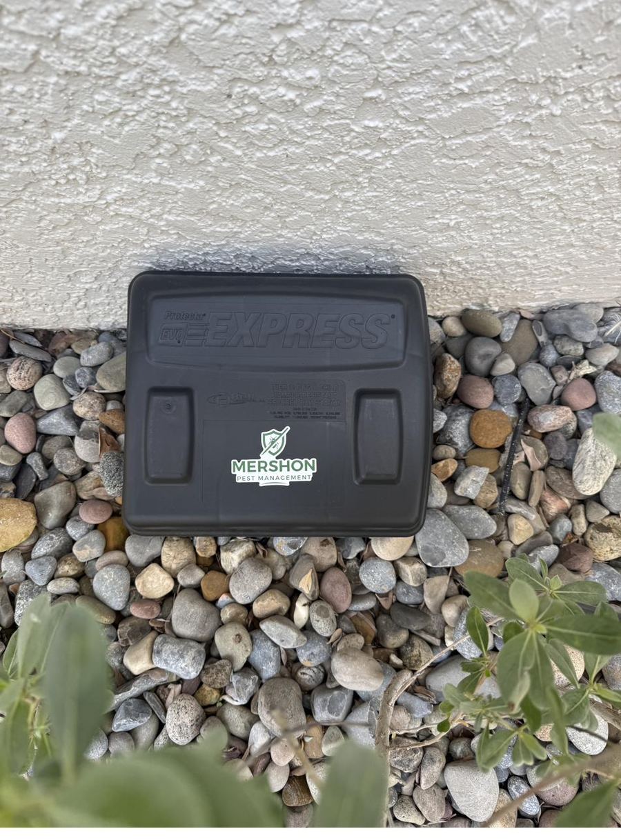 Tamper-resistant rodent bait station against a home